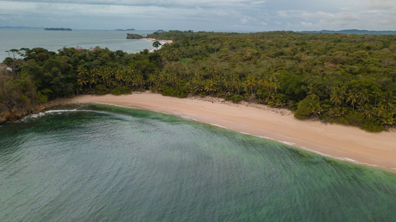 A curved beach backed by palms and forest, from the air