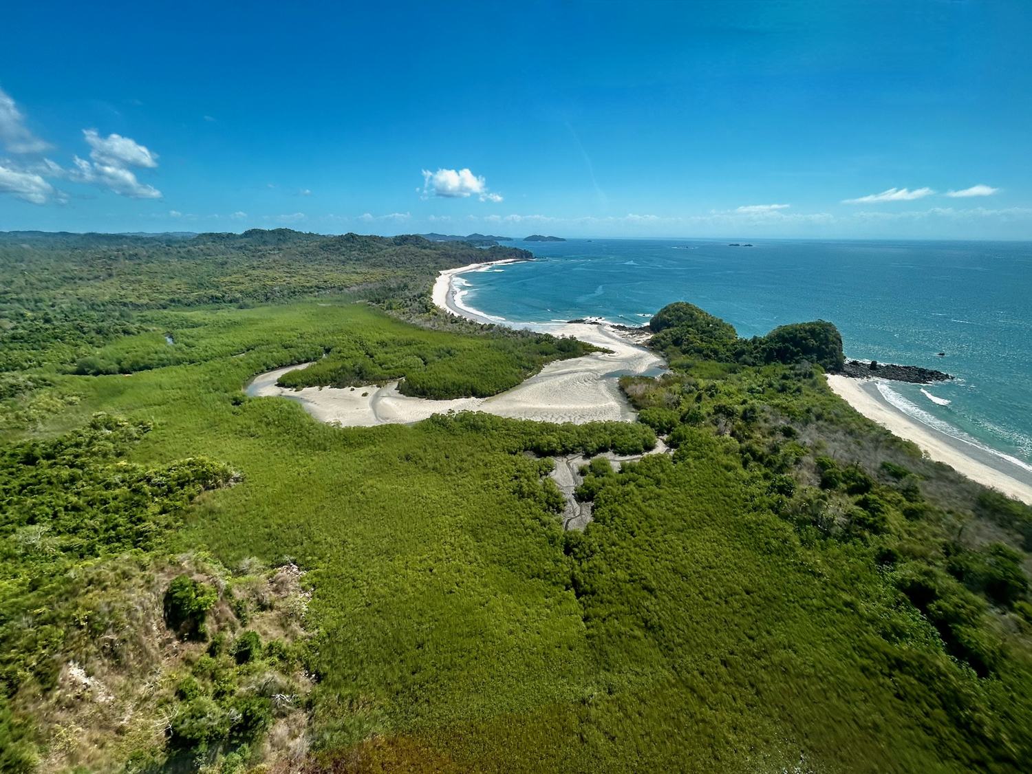 Mangrove and estuary meeting the sea from the air