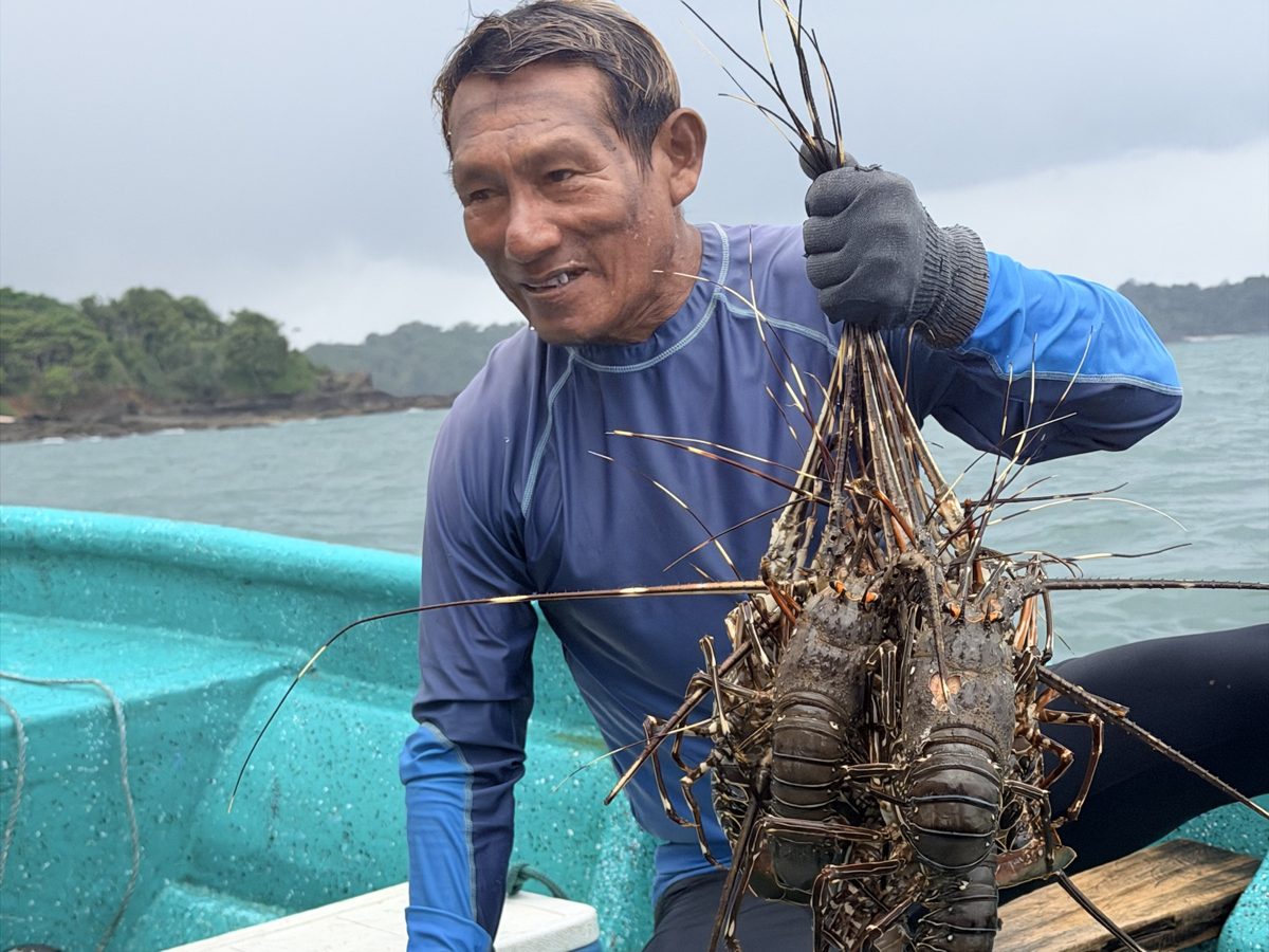A diver holding the day's lobster