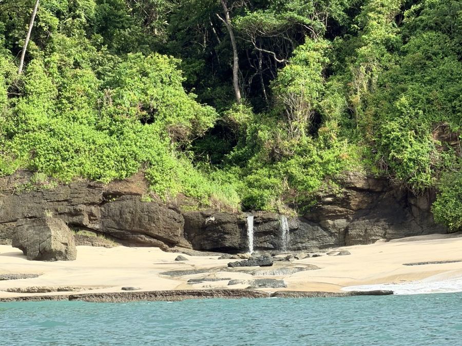 Freshwater falling from the forest onto the sand