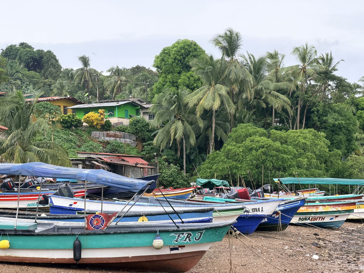 Fishing boats drawn up below the village of San Miguel